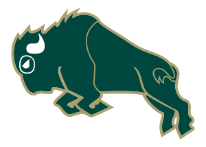 The Villages Charter Buffalo
